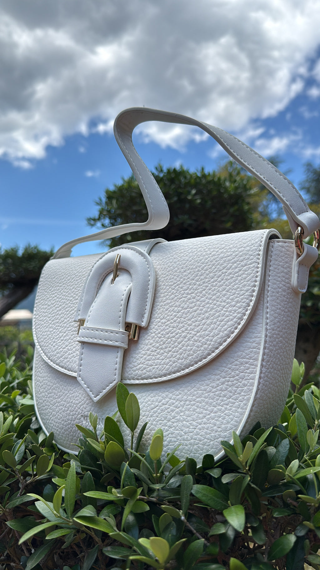 Borsa Vivienne D Mini Spring  VSP252