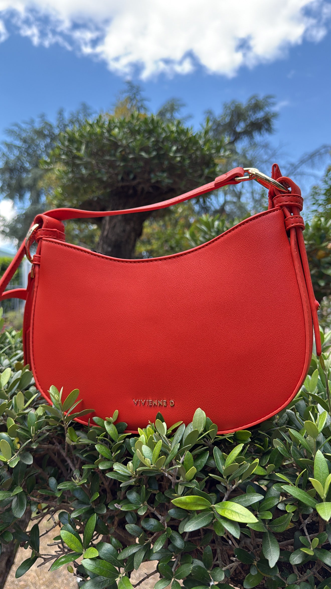 Borsa Vivienne D Rio VI242
