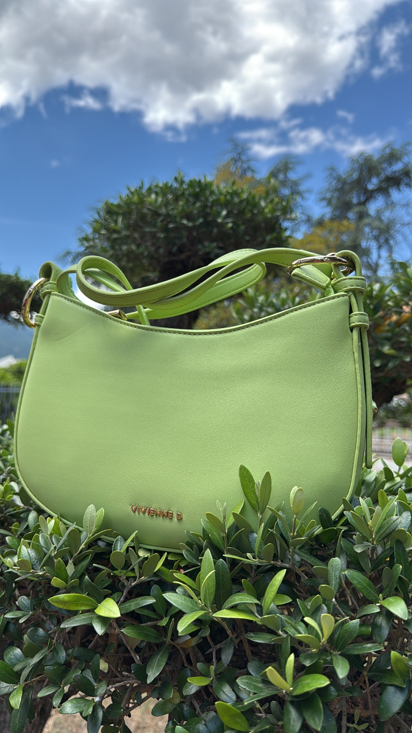 Borsa Vivienne D Rio VI242