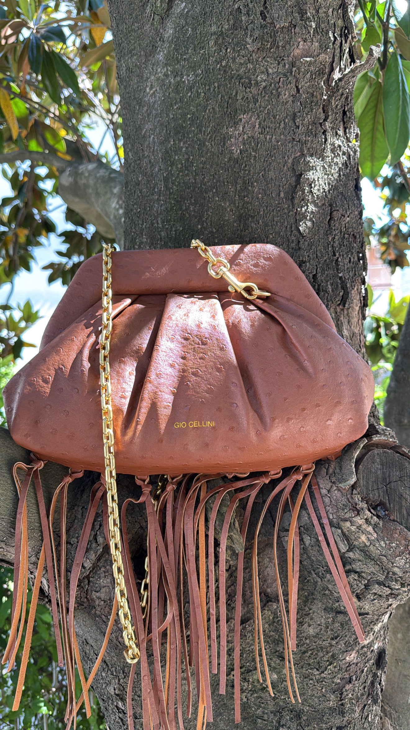 Borsa Gio Cellini Frange BB080